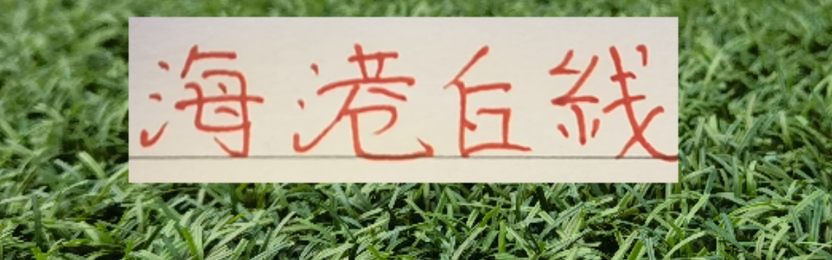 kaiyun-一个主力中后卫都没有 难怪海港0比6热身赛惨败俄超劲旅泽尼特