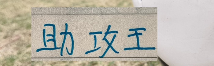 kaiyun-官宣！中超助攻榜上海双雄都有球员上榜|上海海港|加布里埃尔·巴尔博扎|上海申花|加布里埃尔-保利斯塔|云南玉昆足球俱乐部_新浪体育_新浪新闻